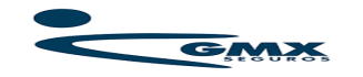 gmx seguros