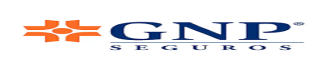 gnp seguros